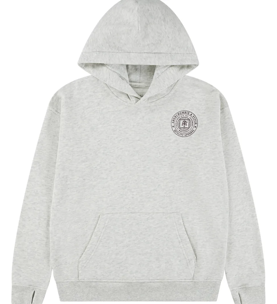Abercrombie & Fitch Hættetrøje - Lysegråmeleret m. Print