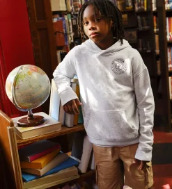 Abercrombie & Fitch Hættetrøje - Lysegråmeleret m. Print