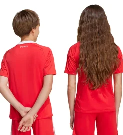 adidas Originals Fodboldtrøje - FC Bayern München 3. Målmandstrø