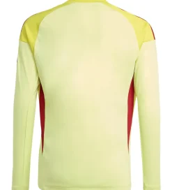 adidas Performance Fodboldtrøje - AFC H GK - PULYEL/TEPORE