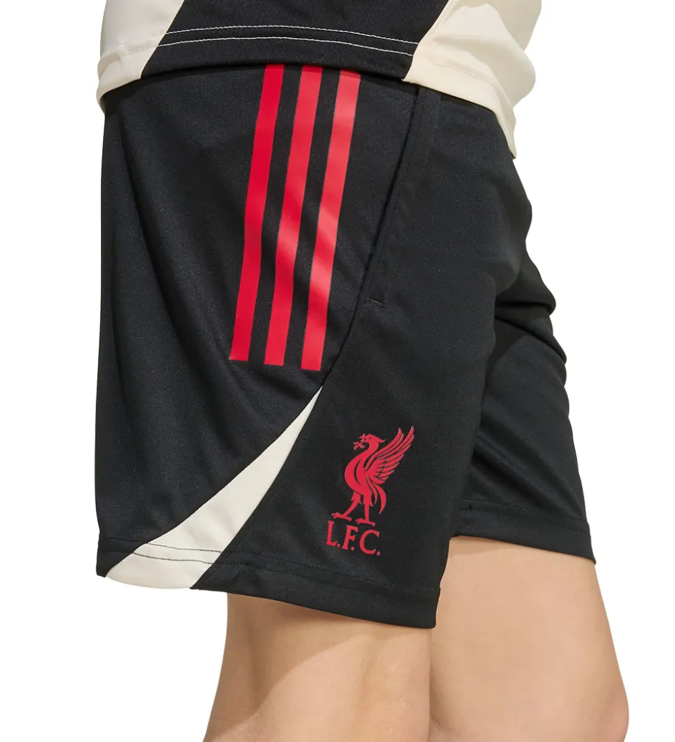 adidas Performance Shorts - Liverpool - Sort