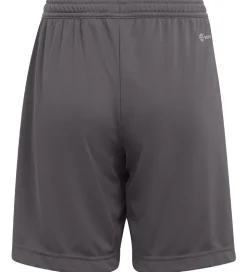 adidas Performance Shorts - Entrada 22 - Grå