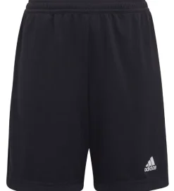 adidas Performance Shorts - Entrada 22 - Sort
