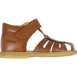 Angulus Begyndersandal - Cognac