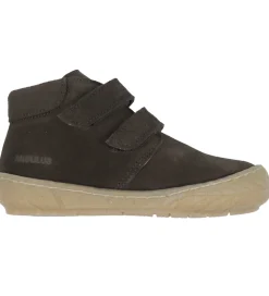 Angulus Begyndersko - Dark Brown