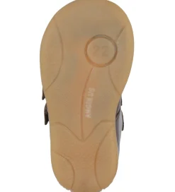 Angulus Begyndersko - Prewalker - Dark Brown