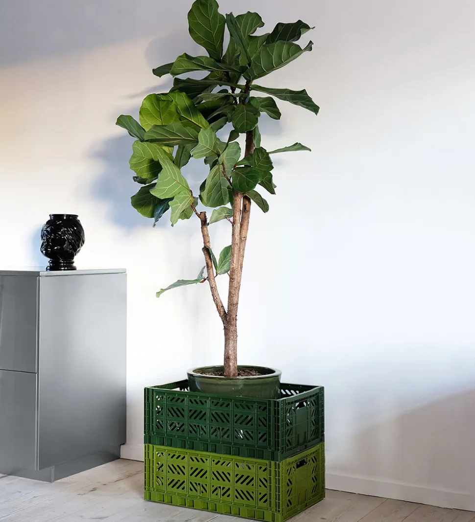 Aykasa Foldekasse - 60x40x22 cm - Maxi - Neon Green