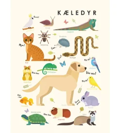 Citatplakat Plakat - Børneplakat - Kæledyr - A3