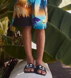 Molo Badesandaler - Zhappy - Sort/Palmer