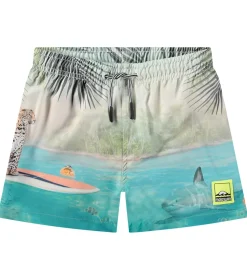 Molo Badeshorts - UV50+ - Niko - Leo On Surf