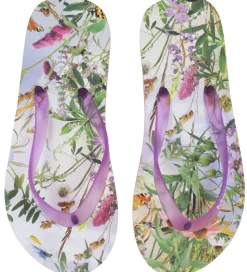 Molo Klipklapper - Zeppo - Wild Nature