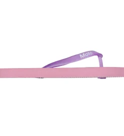 Molo Klipklapper - Zeppo - Wild Nature