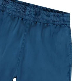 Molo Shorts - Arrow - Best Blue