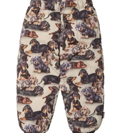 Molo Skibukser - Percy - Dashshund Soft