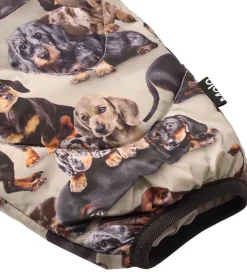 Molo Skibukser - Percy - Dashshund Soft