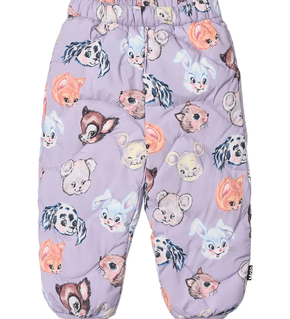 Molo Skibukser - Percy - Itty Bitty Purple