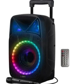 Music Karaoke Party Speaker