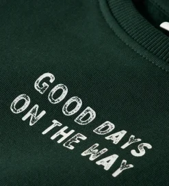 Name It Sweatshirt - NmmSlade - Pine Grove