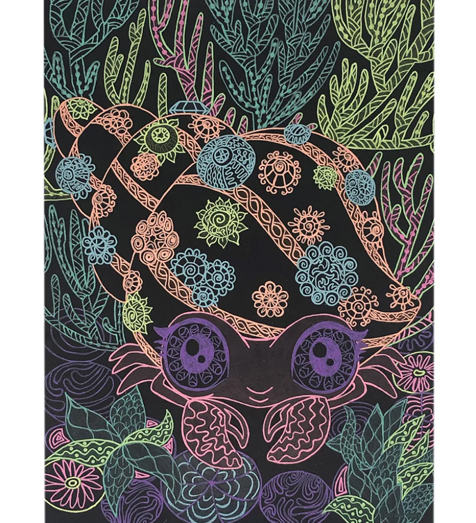 Nebulous Stars Malebog m. Tuscher - Sorte Sider - Coralia